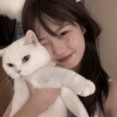 圈主如何设置“人设 + 内容钩子”？